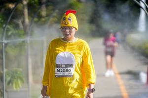 BIB: 
                            <button type="button" onclick="openModal(26543878)" class="btn btn-primary btn-sm float-right btn-popup" data-toggle="modal" data-target=".modal-high-quality">
                        <i class="fas fa-shopping-cart"></i> Add to Cart
                    </button>
                                            <button type="button" onclick="isThisMe(26543878, true)" class="btn btn-success btn-sm float-right btn-popup btn-isme hidden" data-toggle="tooltip" data-placement="bottom" title="นี่คือรูปของคุณใช่ไหม คลิกที่นี่เพื่อเอาเข้าอัลบั้ม">
                        <i class="fas fa-plus"></i> Add to album
                    </button>
                    <button type="button" onclick="isThisMe(26543878, false)" class="btn btn-warning btn-sm float-right btn-popup btn-isnotme hidden">
                        <i class="fas fa-ban"></i> Remove from album
                    </button>